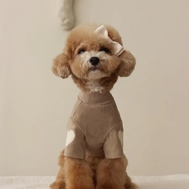 Winter Warm Pet Hoodie