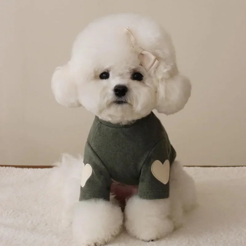 Winter Warm Pet Hoodie