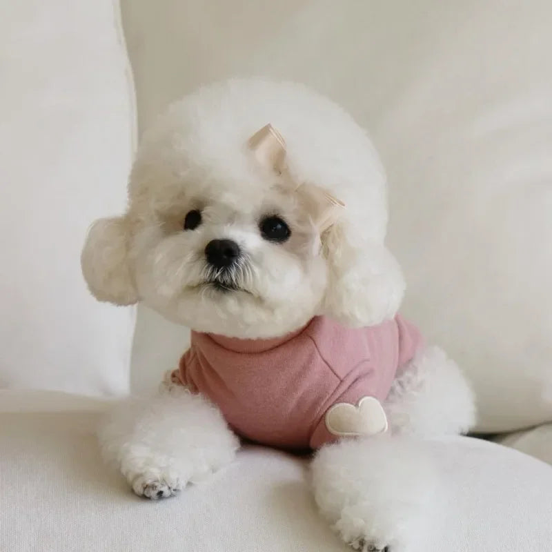 Winter Warm Pet Hoodie