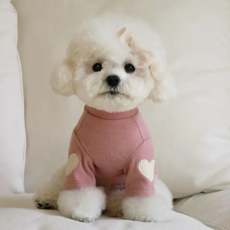 Winter Warm Pet Hoodie
