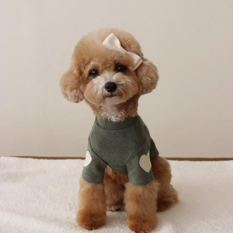 Winter Warm Pet Hoodie
