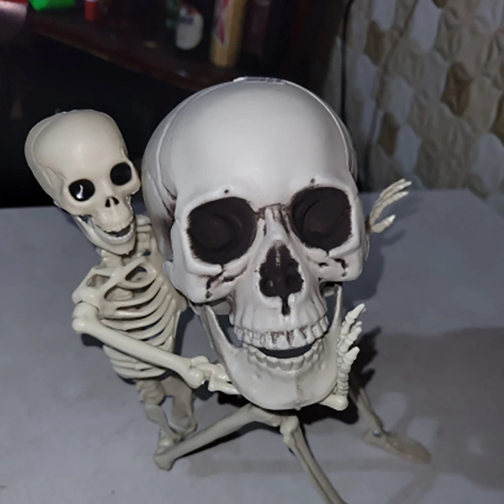 Halloween Skull – Realistic Skeleton Head Prop