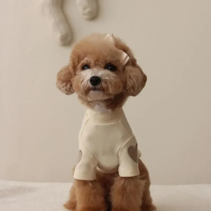 Winter Warm Pet Hoodie