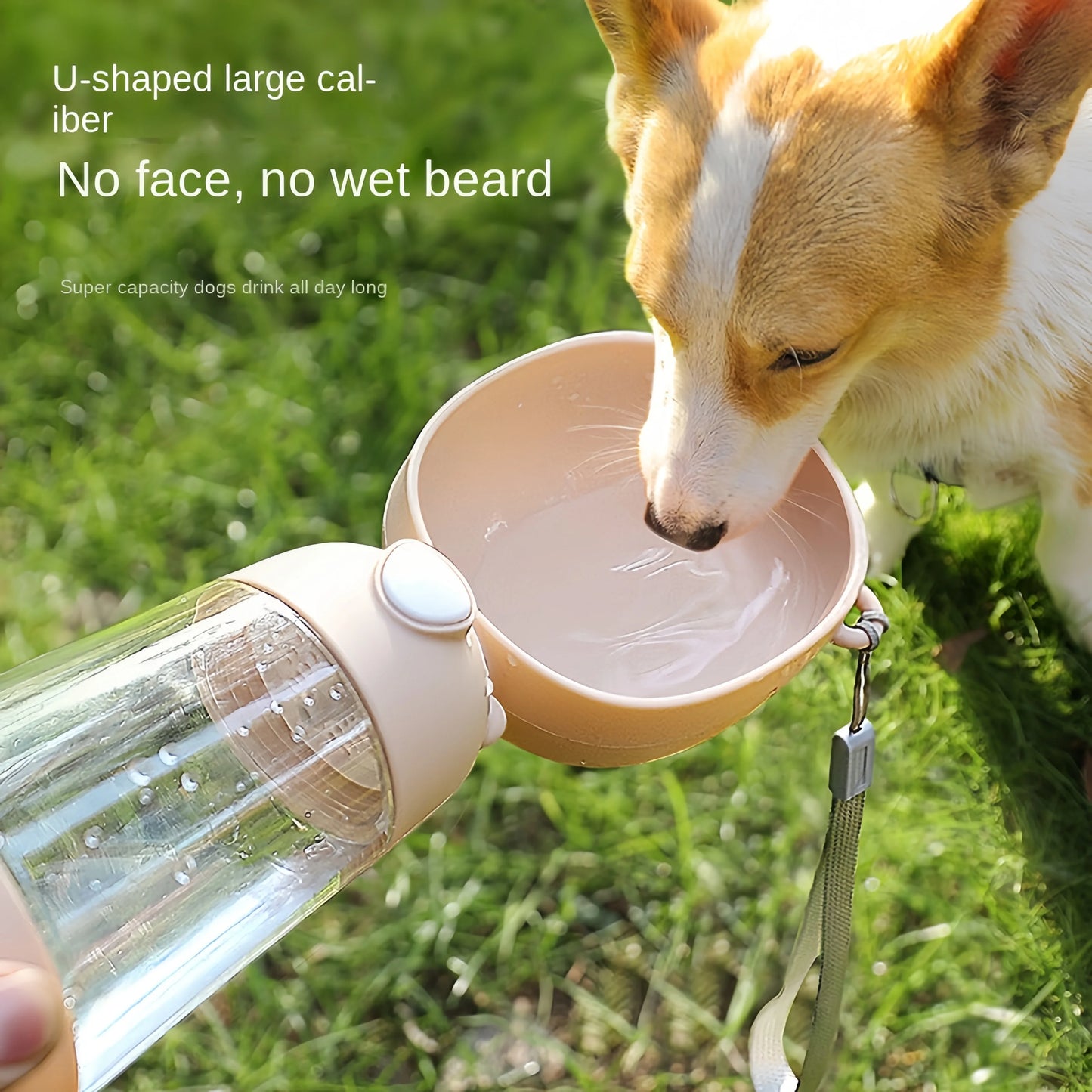 Portable Pet Water Bottle with Dispenser