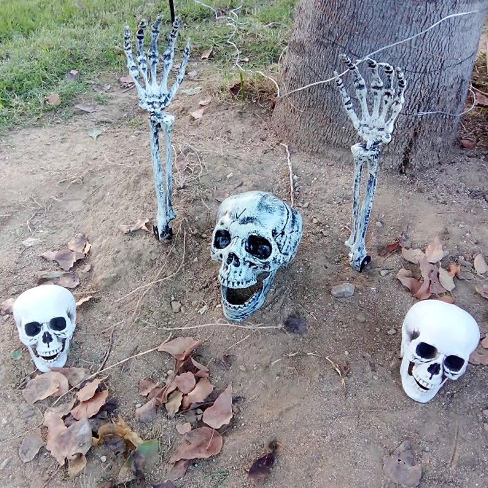 Halloween Skull – Realistic Skeleton Head Prop