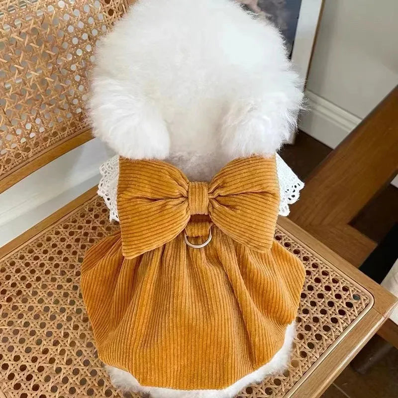 Autnumn/Winter Dress for Small Dog