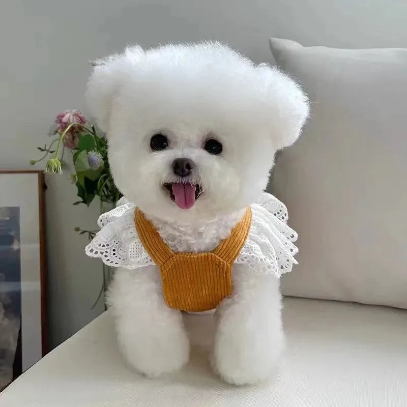 Autnumn/Winter Dress for Small Dog