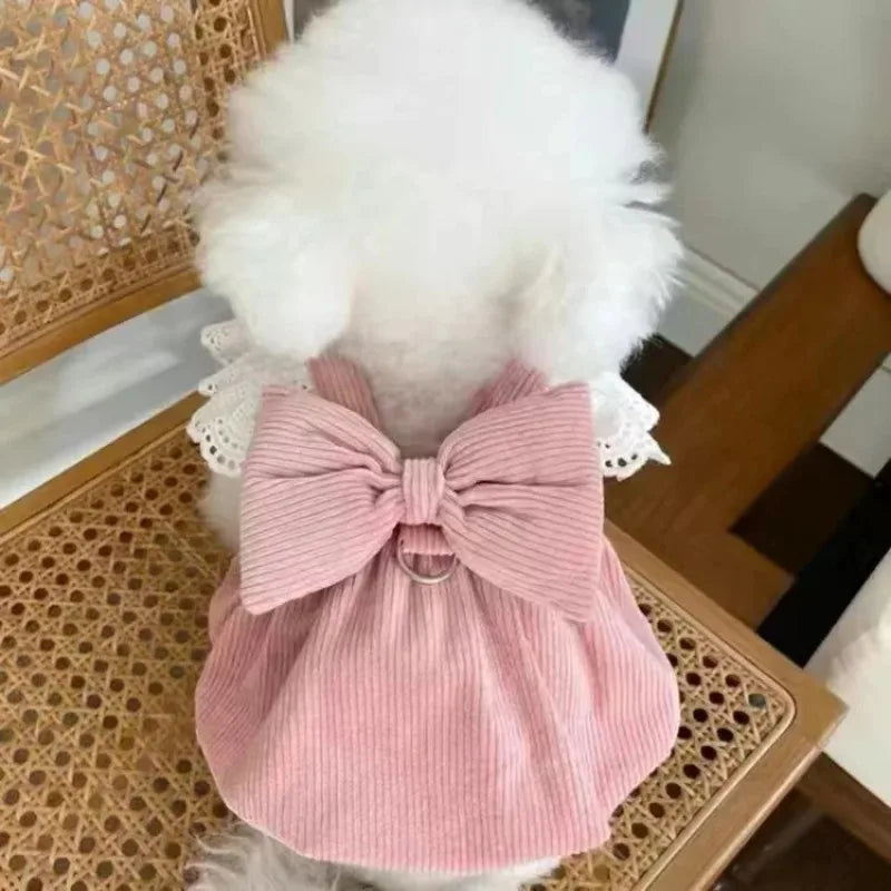 Autnumn/Winter Dress for Small Dog