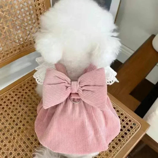 Autnumn/Winter Dress for Small Dog
