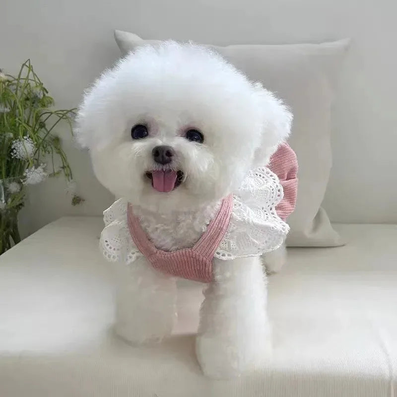 Autnumn/Winter Dress for Small Dog