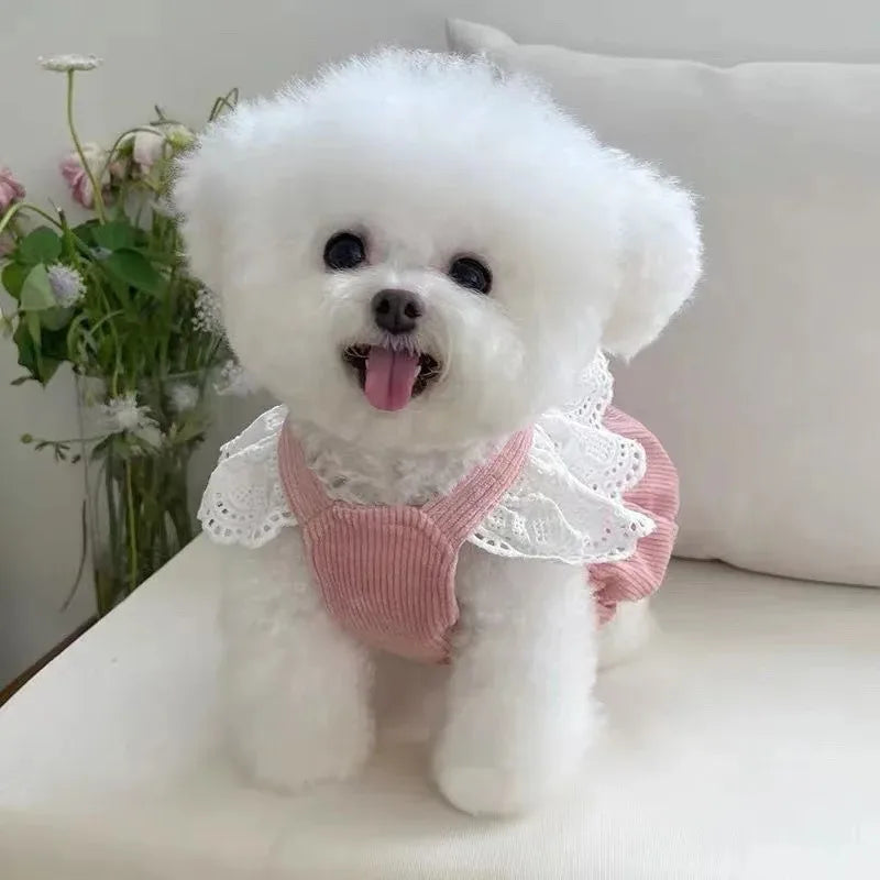Autnumn/Winter Dress for Small Dog